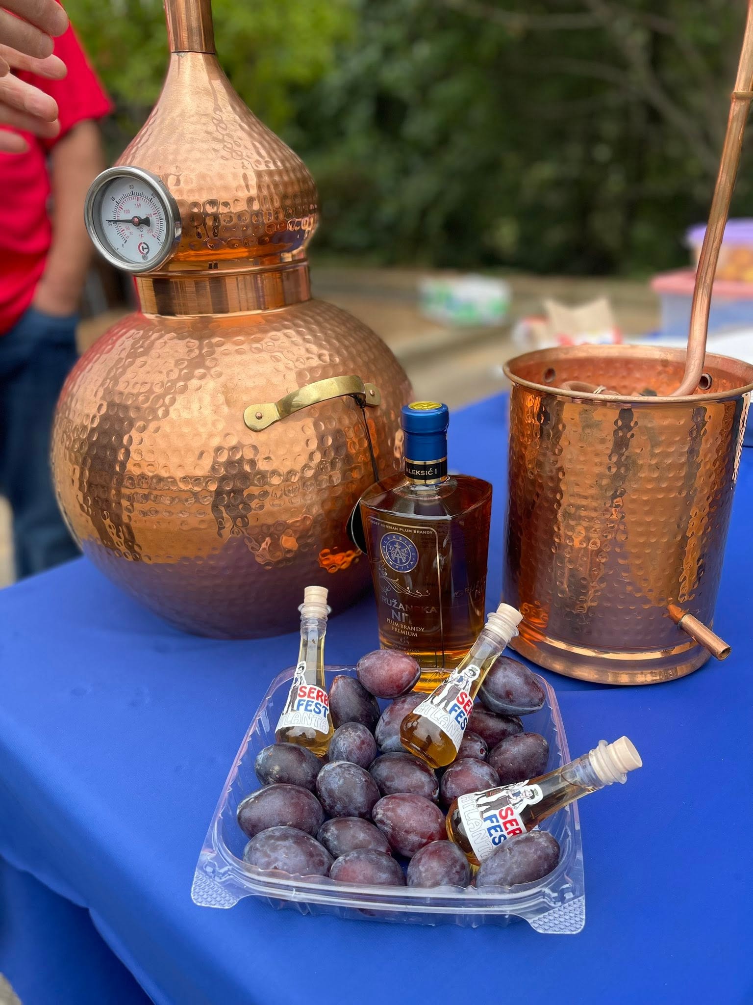 Copper rakija still and plums